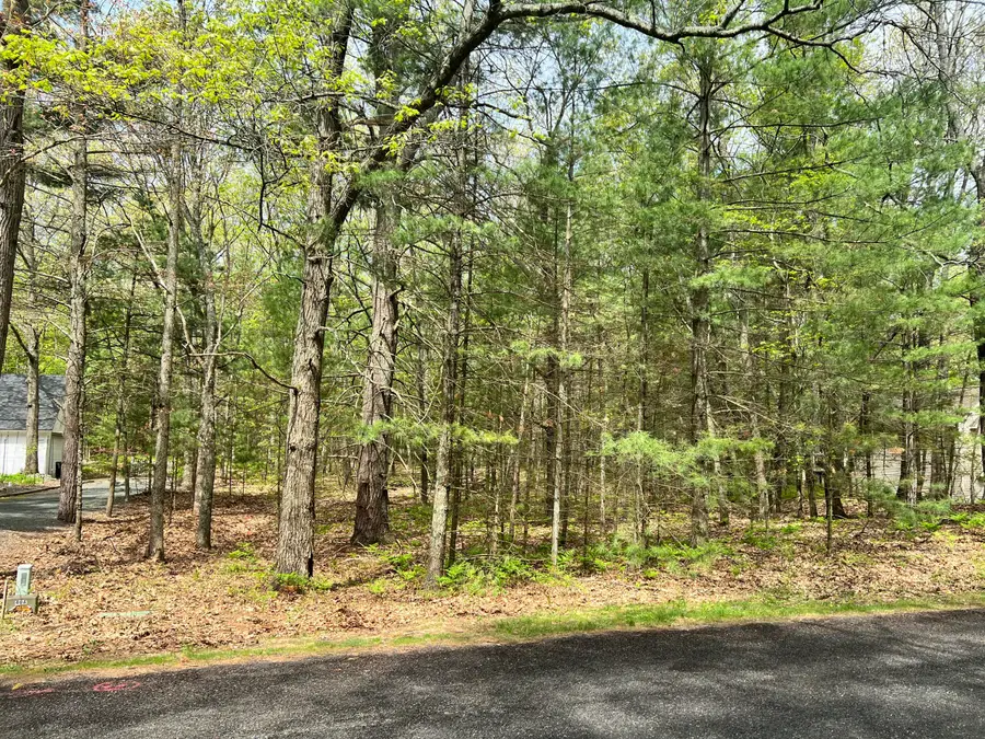 Lot 95 Iroquois Road, Pentwater, MI 49449 - #3