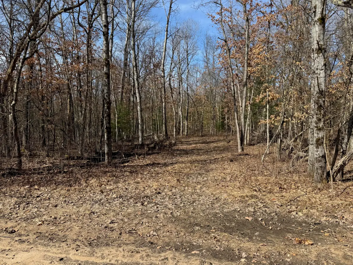 Mary Street, Wellston, MI 49689 - #1