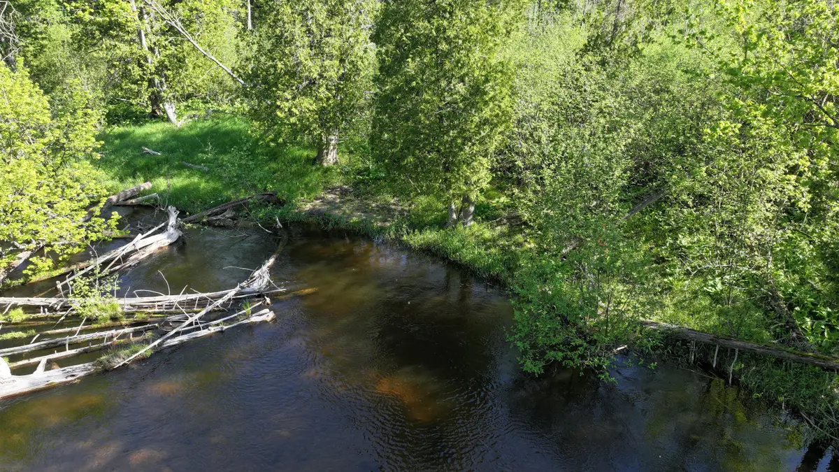 V/L E Pomeroy Springs Road, Irons, MI 49644 - #1