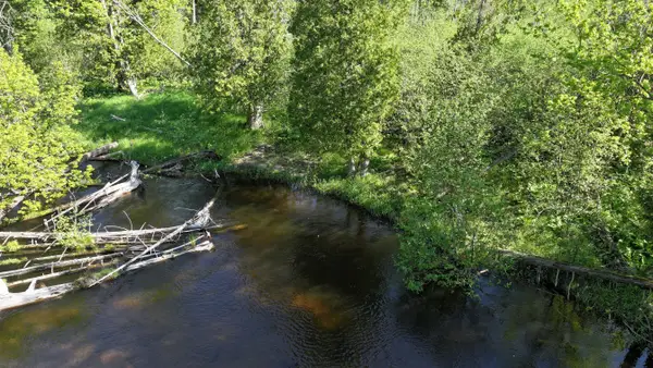 V/L E Pomeroy Springs Road, Irons, MI 49644
