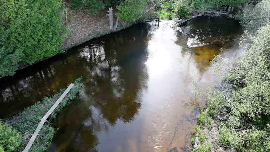 V/L E Pomeroy Springs Road, Irons, MI 49644 - #2