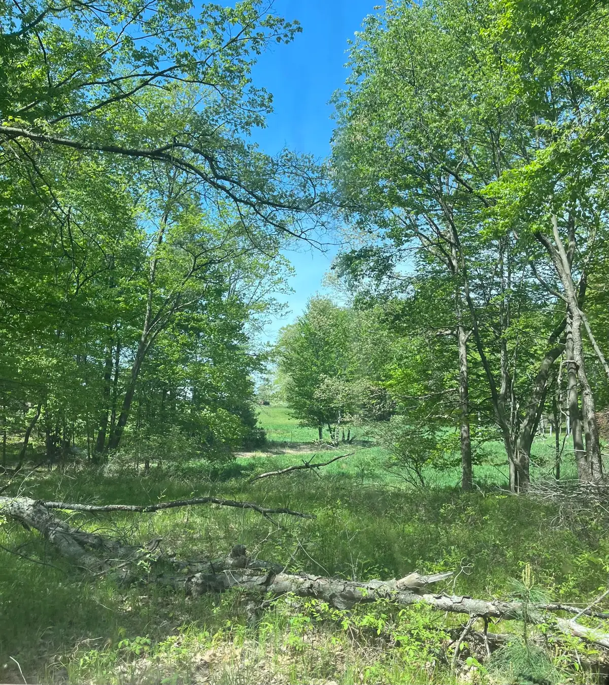 3685 Cypress Road, Blanchard, MI 49310 - #1