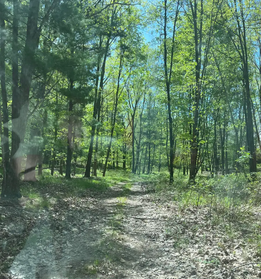 3685 Cypress Road, Blanchard, MI 49310 - #2