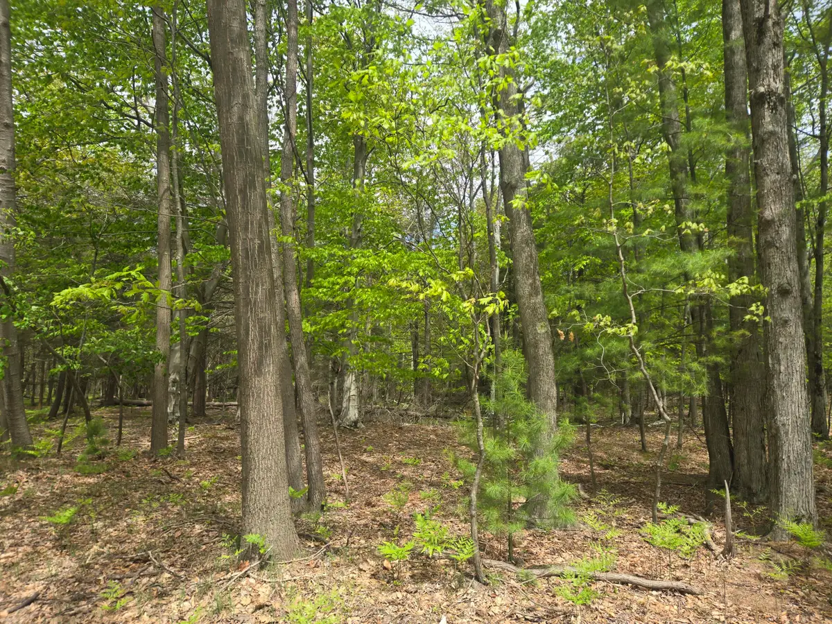 VL N Ridge Road, Mears, MI 49436 - #1