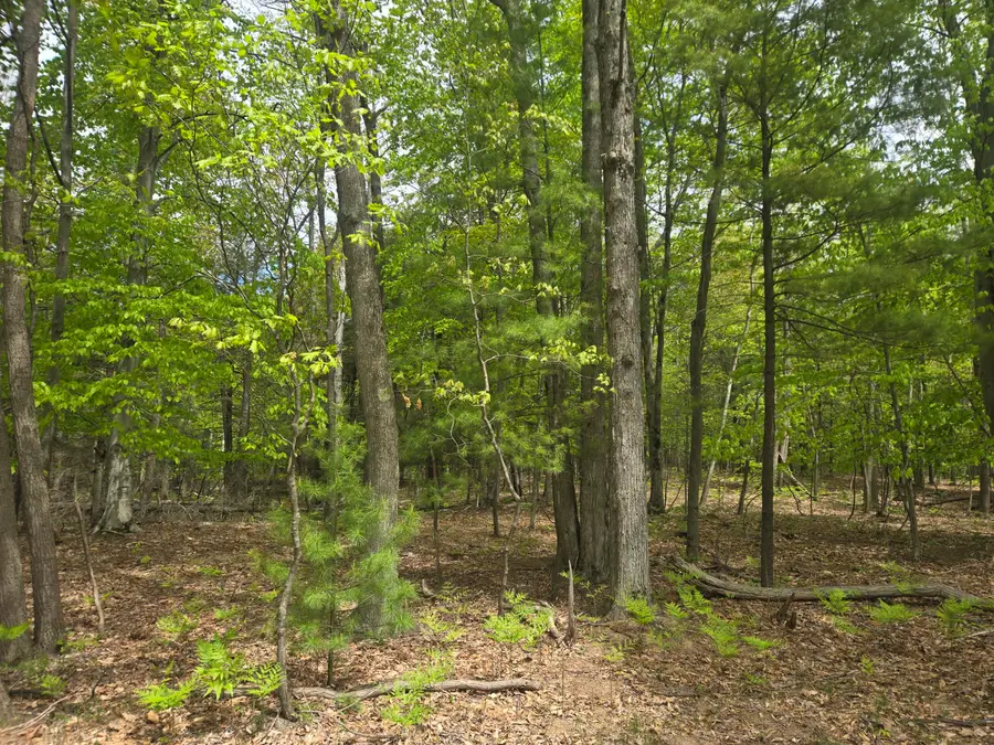 VL N Ridge Road, Mears, MI 49436 - #2