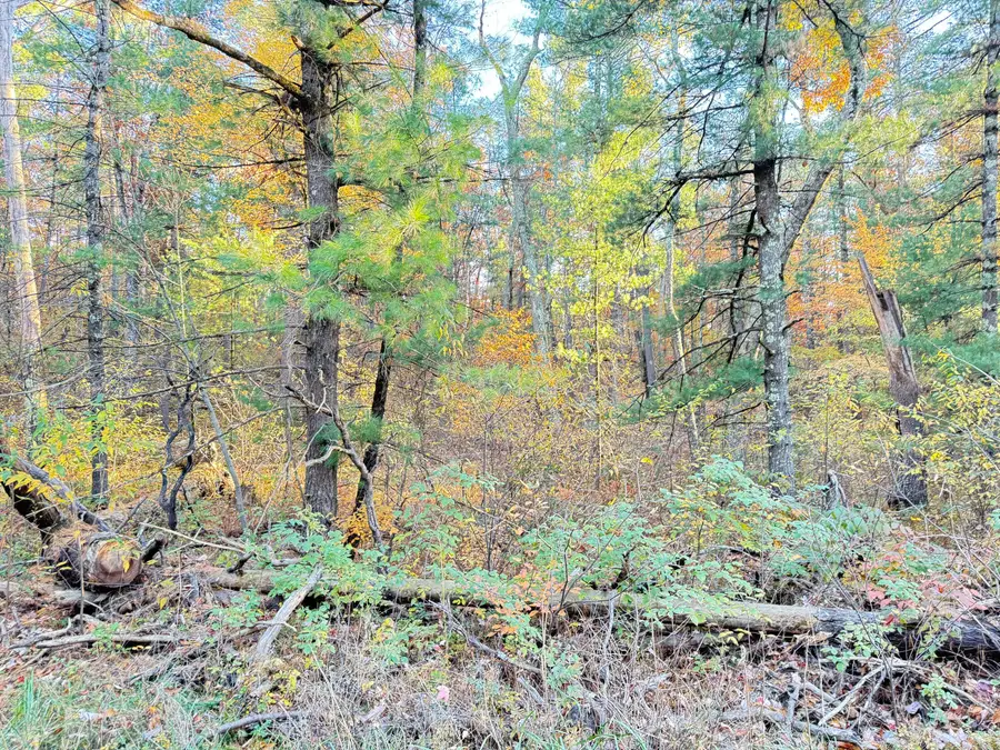 7.32AC E 58th Street, Newaygo, MI 49337 - #3