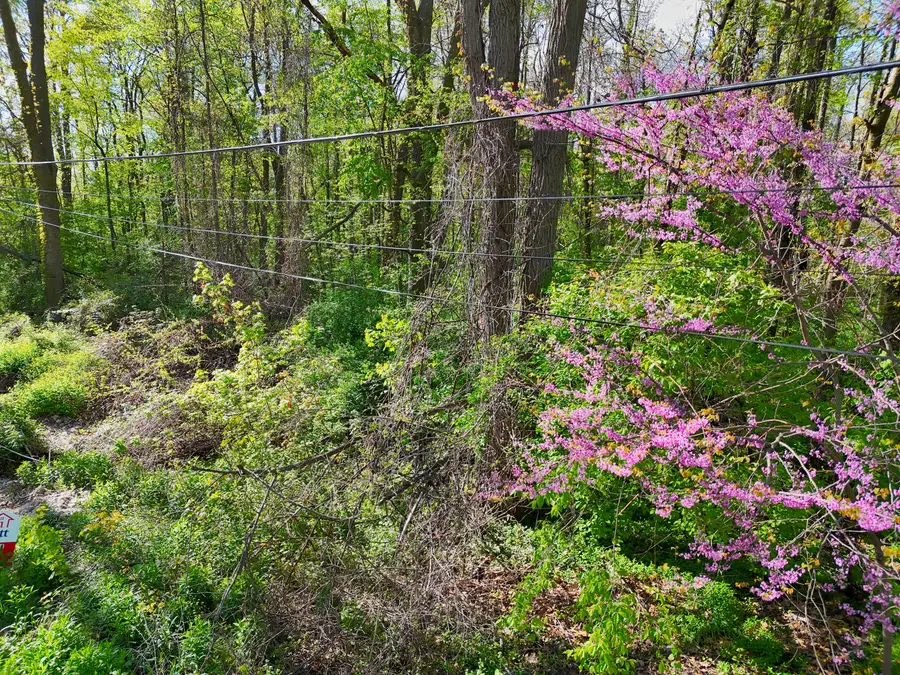 VL Ellen Road, Dowagiac, MI 49047 - #3