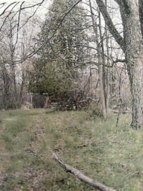 59790 County Road 380, Bangor, MI 49013