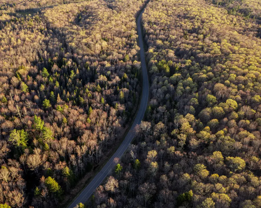 Lot 4 Federal Forest Highway 16, Iron River, MI 49935 - #3