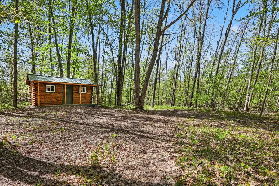 0 Grant Street, Bitely, MI 49309 - #3