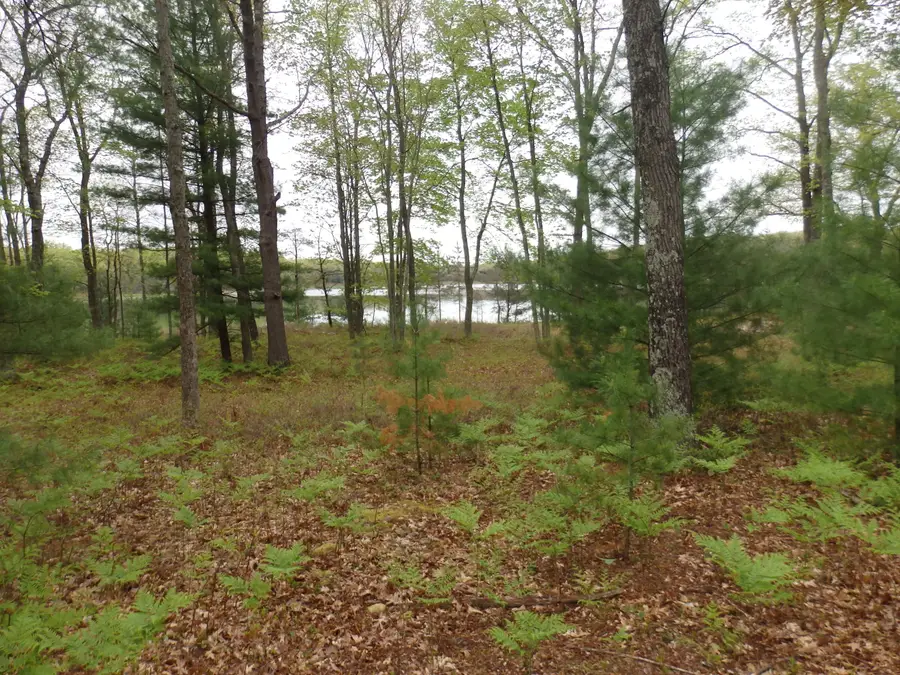 Hardwood Drive, Free Soil, MI 49411 - #2