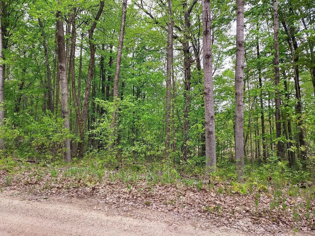 00 Buck Lane #66, Harrison, MI 48625 - #1