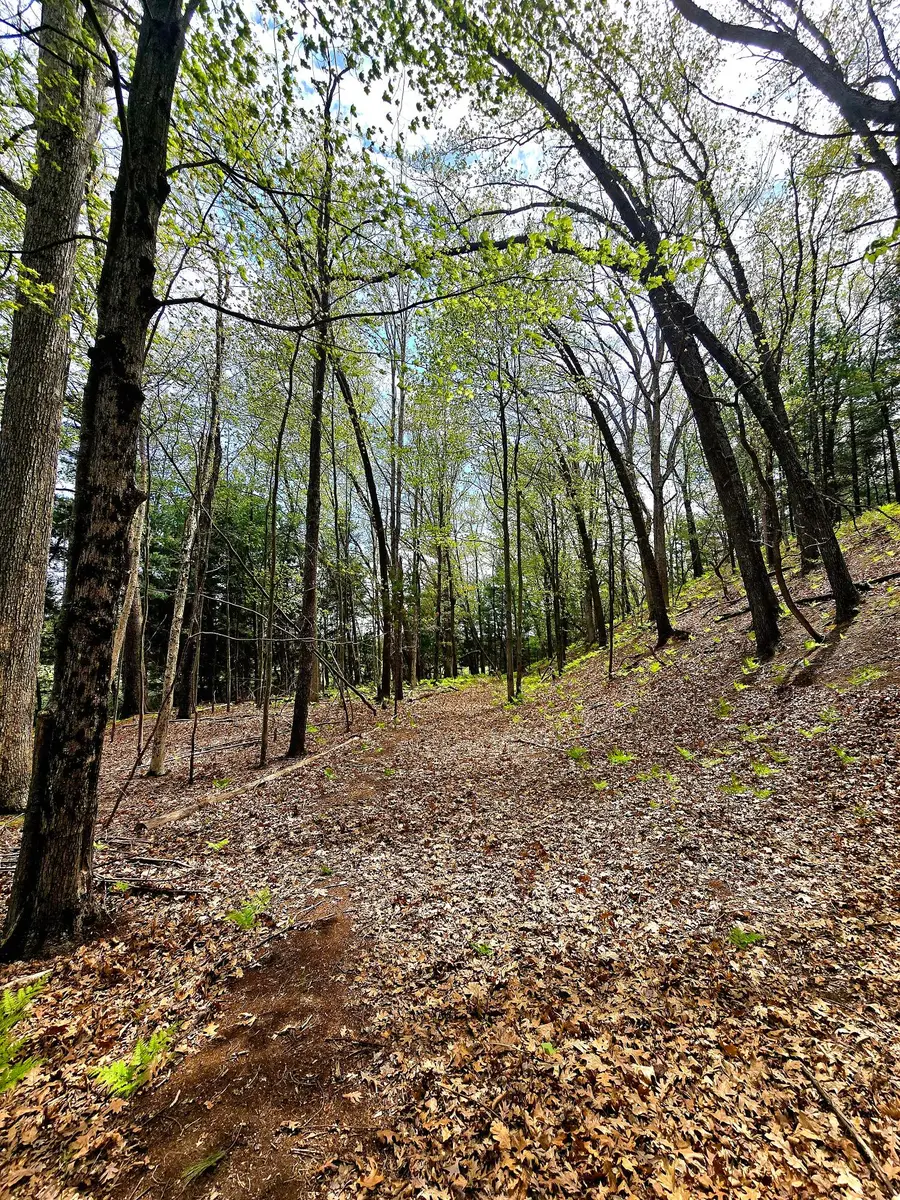Topping Ave, Pentwater, MI 49449 - #2