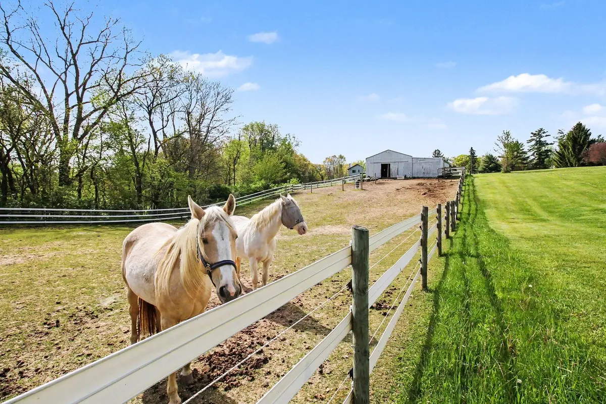 2536 W Coon Lake Road, Howell, MI 48843 - #1