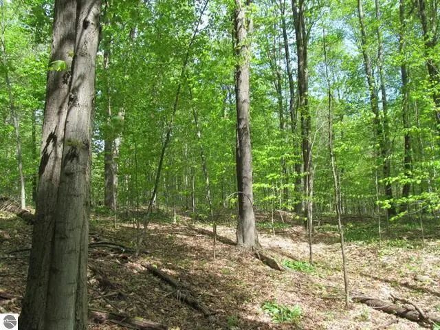 00 M-115, Tustin, MI 49688 - #1