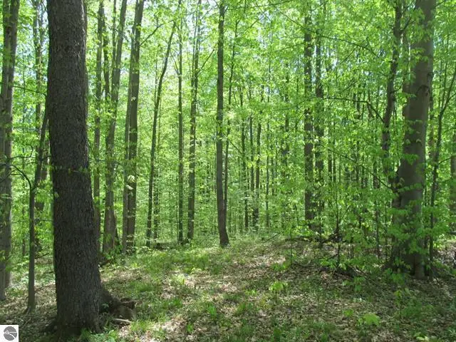 00 M-115, Tustin, MI 49688 - #3