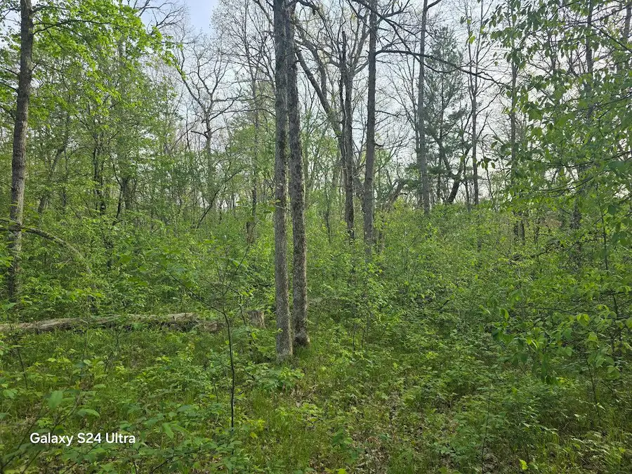 5042 W Jeffers Street #Par 4, Irons, MI 49644 - #3