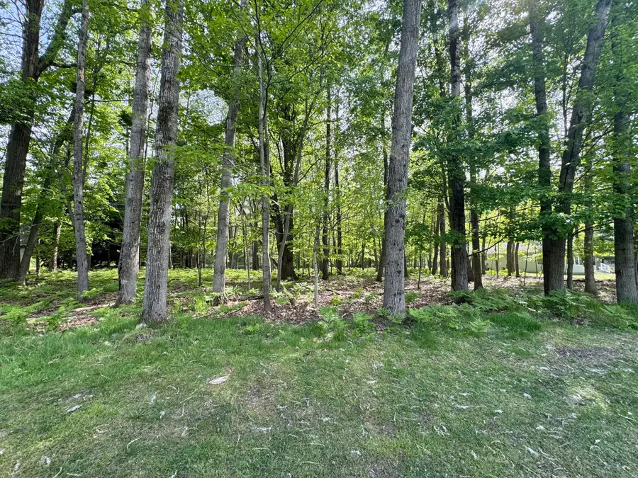 9368 Clubhouse Drive W #549, Canadian Lakes, MI 49346 - #3