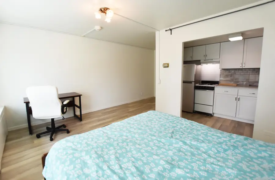555 E William Street #3L, Ann Arbor, MI 48104 - #3