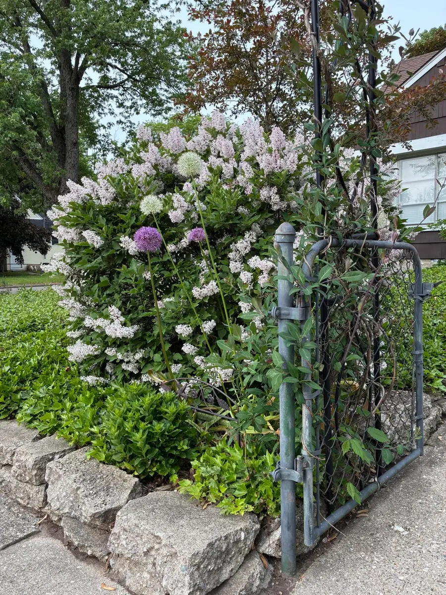 1136 Lester Avenue, Ypsilanti, MI 48198 - #2