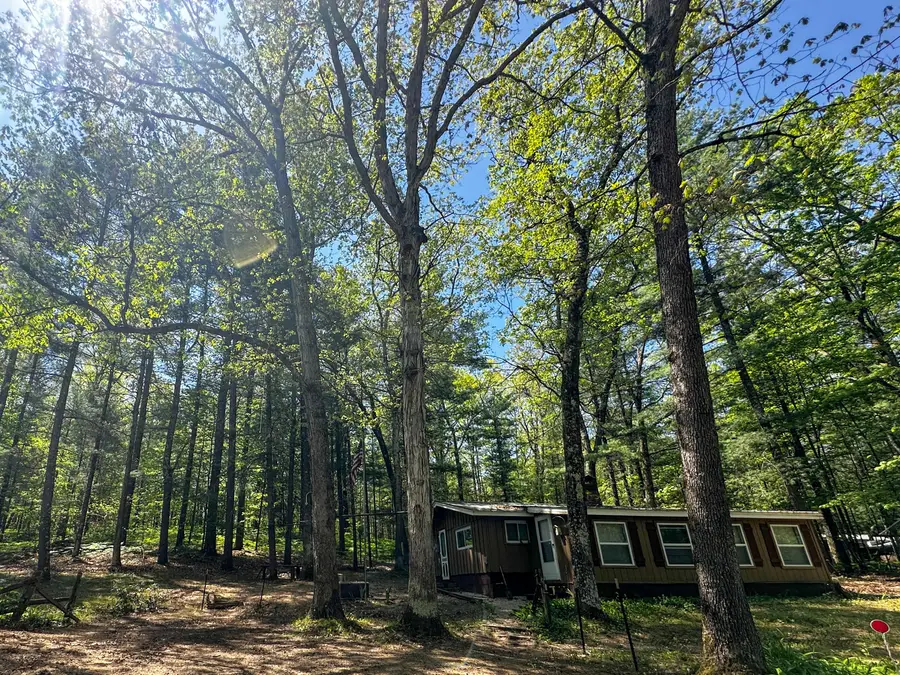 8923 W Toma Trail, Irons, MI 49644 - #3