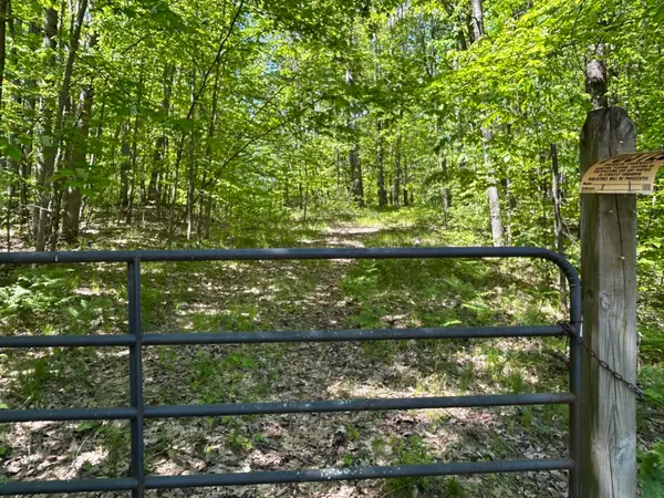 9800 Avenue C #--Vacant  Land--, Mecosta, MI 49332