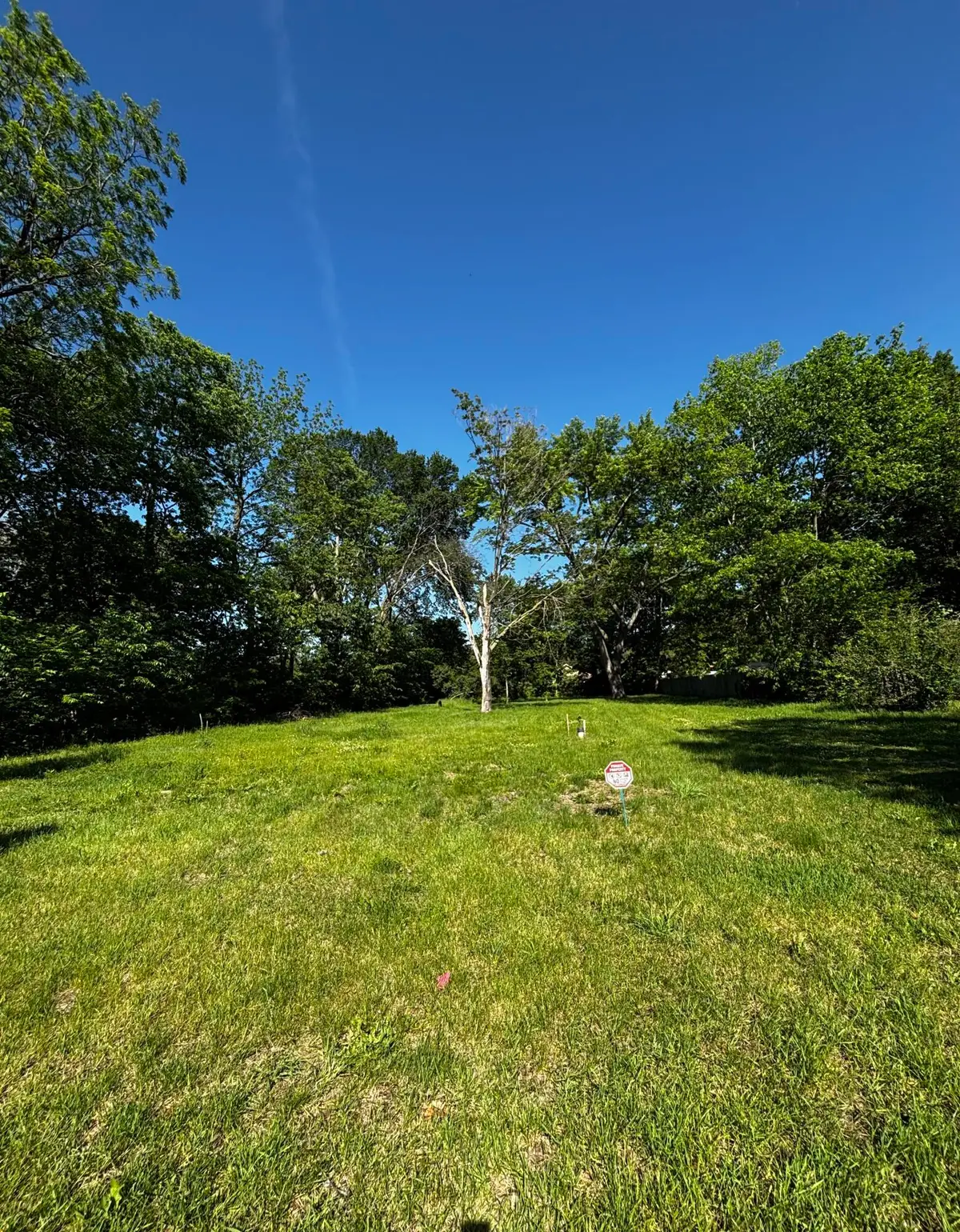 13353 California Road, New Troy, MI 49119 - #1