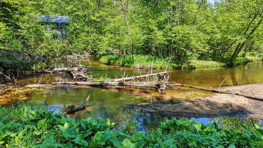 6360 W 8 Mile Road, Irons, MI 49644 - #3