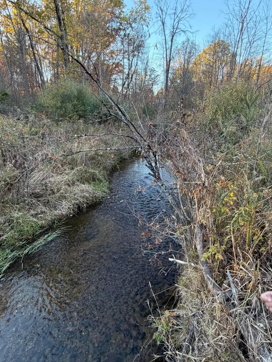 V/L N Tamarack Road, Howard City, MI 49329 - #2