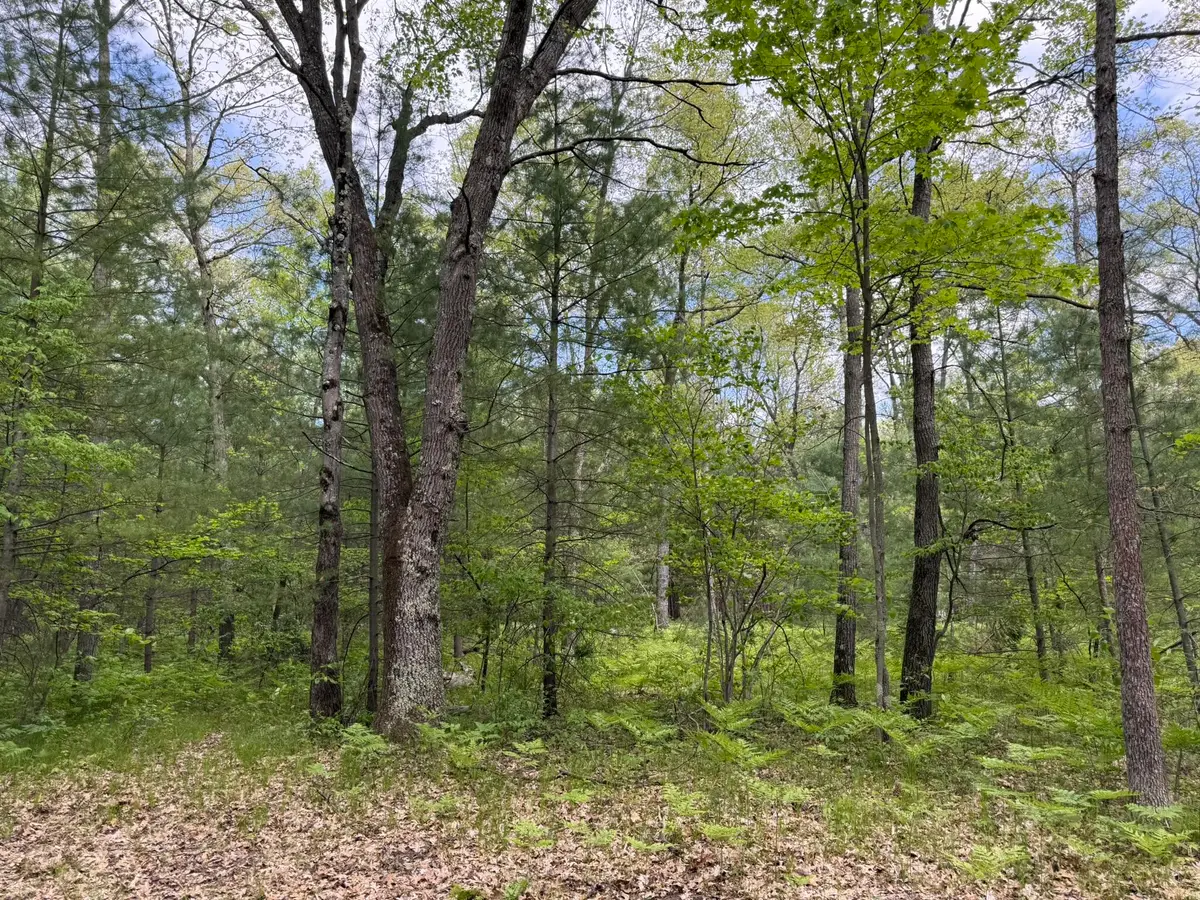 Harris Road, Wellston, MI 49689 - #1