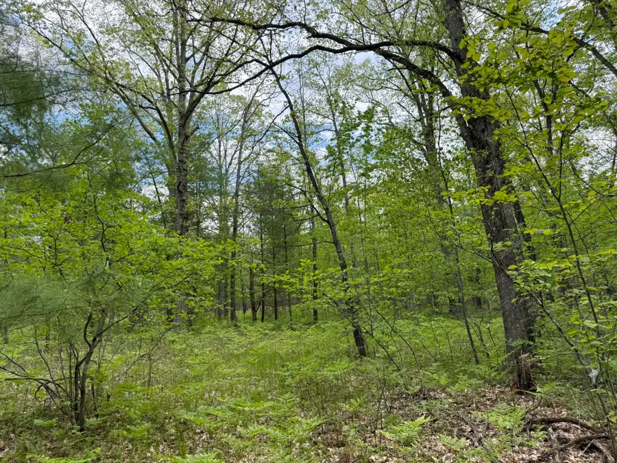 Harris Road, Wellston, MI 49689 - #3