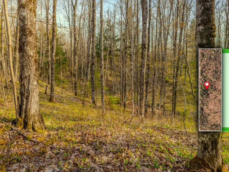Lot 1 Horoscope Road, Pelkie, MI 49958 - #3