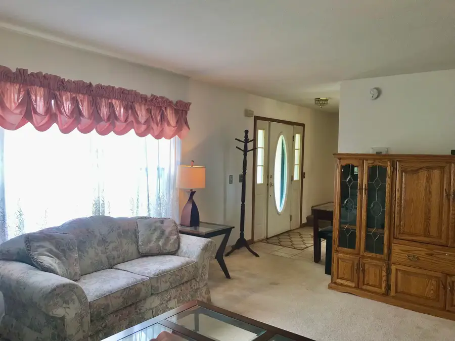 26123 Fawn River Road, Sturgis, MI 49091 - #3
