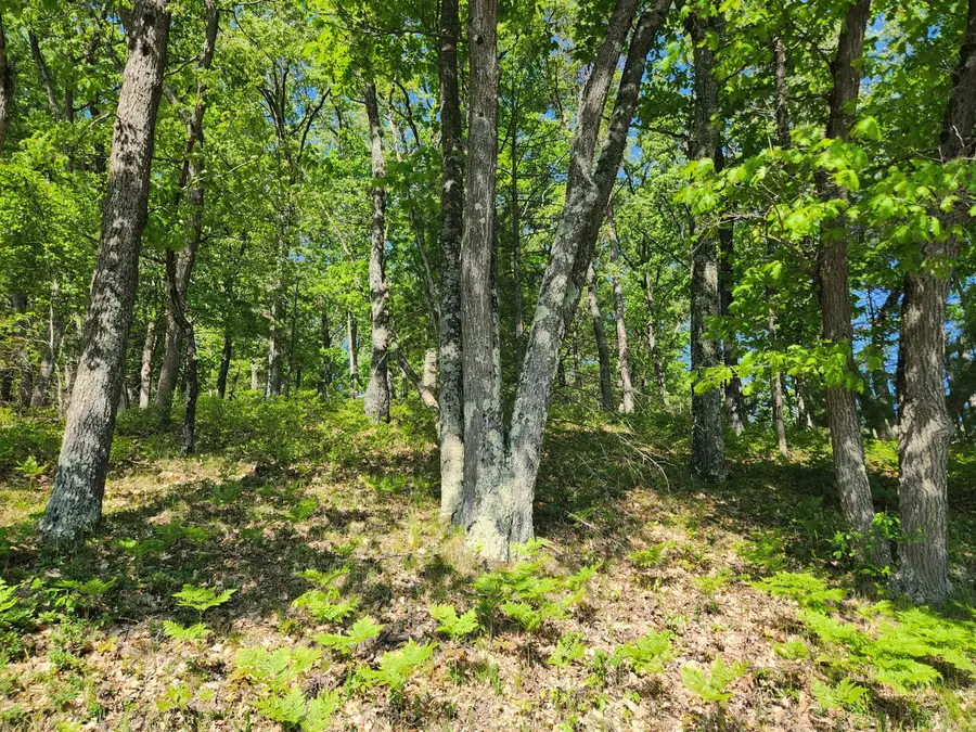 4362 S Nugent Scenic Drive, Baldwin, MI 49304 - #2