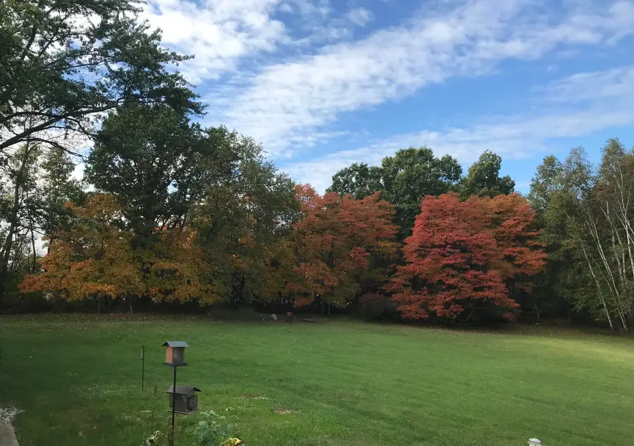 7208 W Dickerson Lake Road, Greenville, MI 48838 - #3