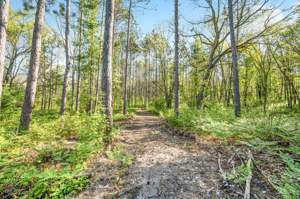 V/L Nelson St, Baldwin, MI 49304 - #1