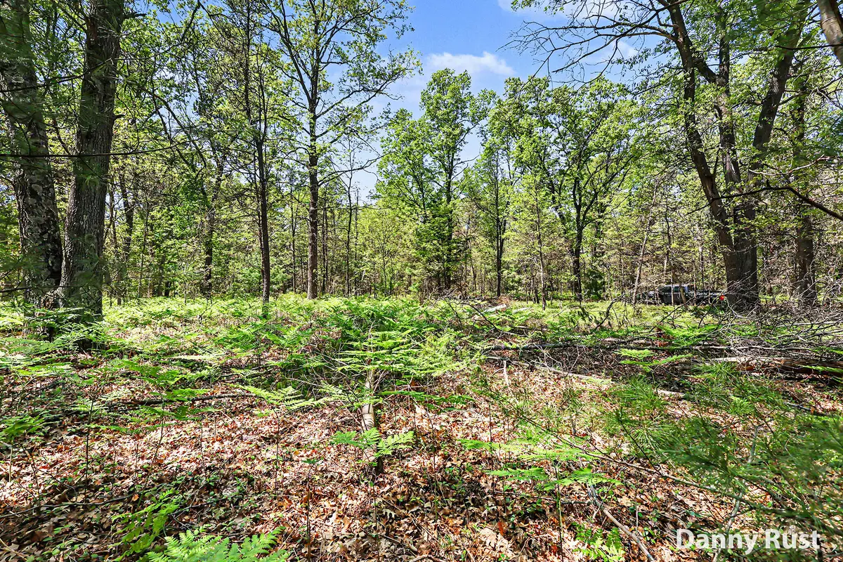 Vacant Land, Twin Lake, MI 49457 - #1