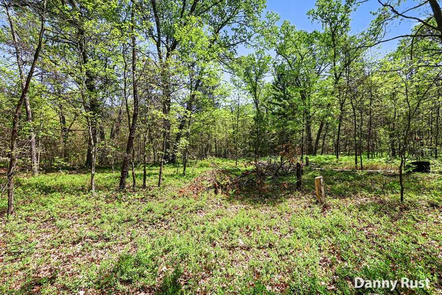 Vacant Land, Twin Lake, MI 49457 - #2