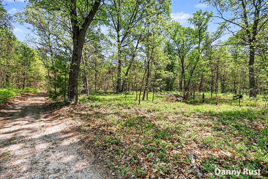 Vacant Land, Twin Lake, MI 49457 - #3