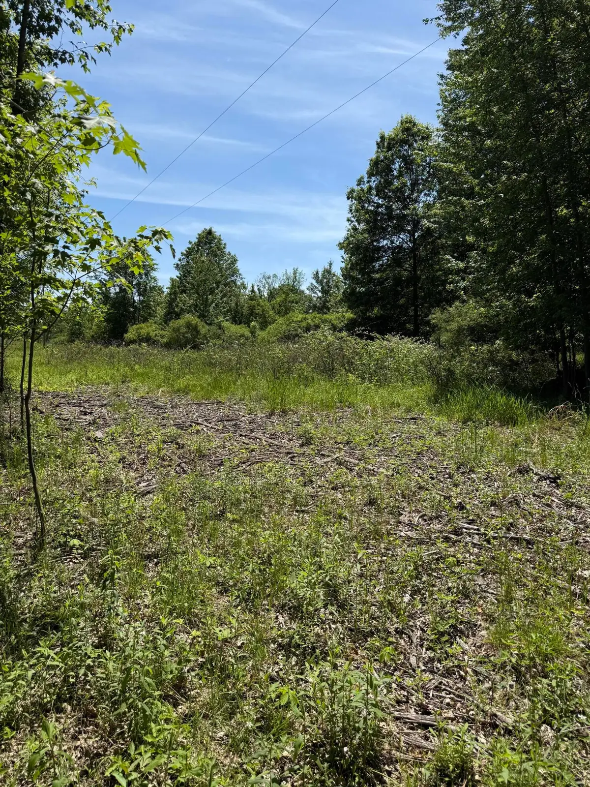V/l 50th Street, Bangor, MI 49013 - #1