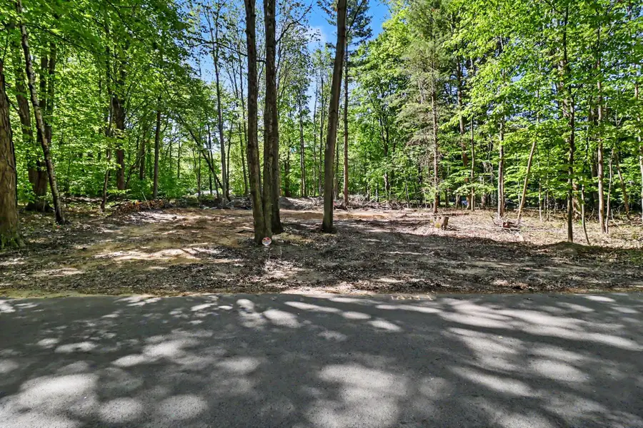 V/L Cherry Street, Ludington, MI 49431 - #2