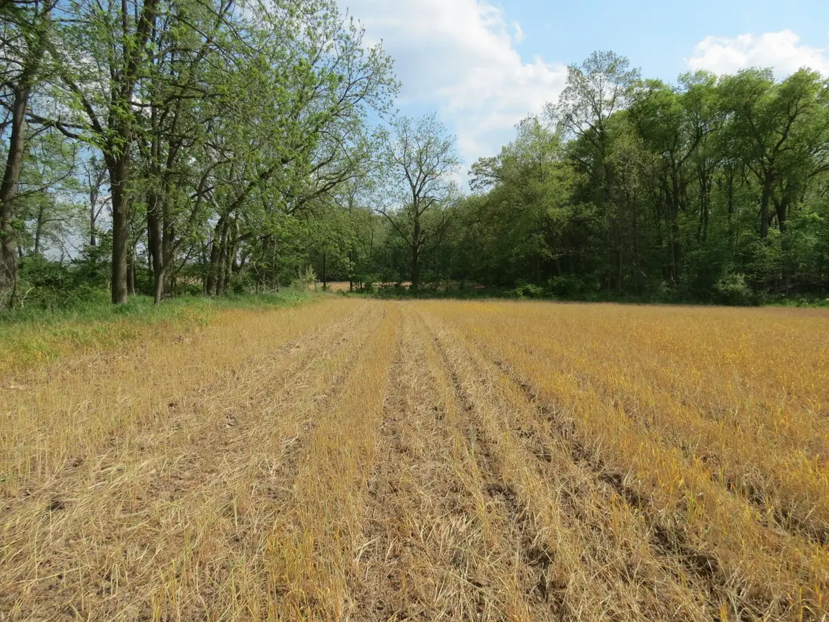 S Stony Lake Road #B, Jackson, MI 49201 - #1