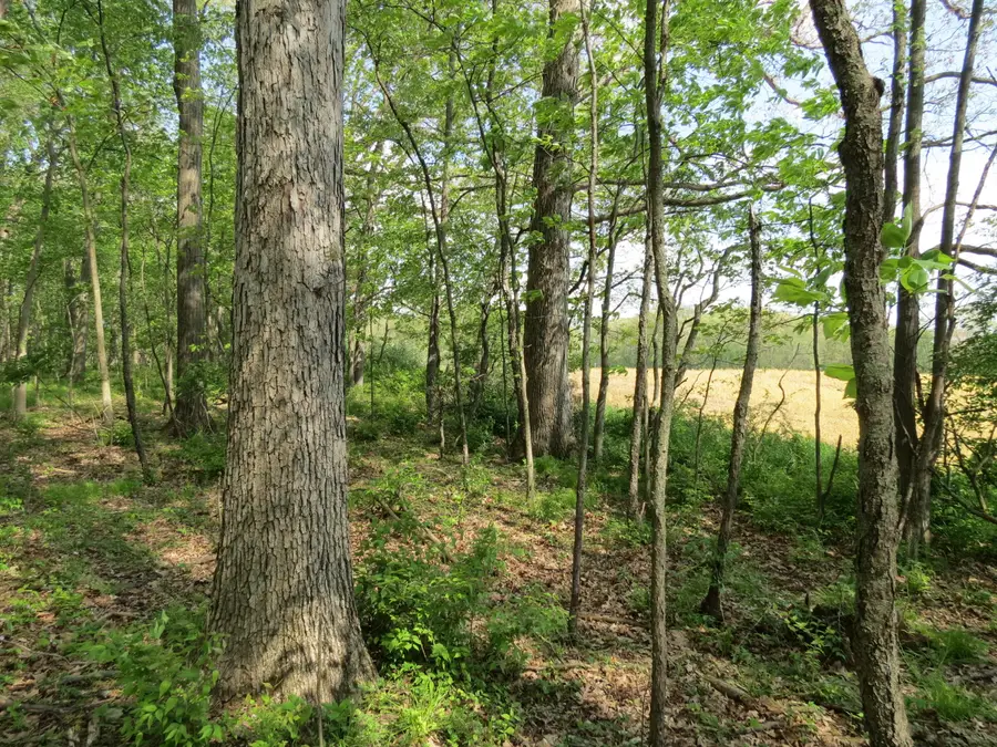S Stony Lake Road #B, Jackson, MI 49201 - #2