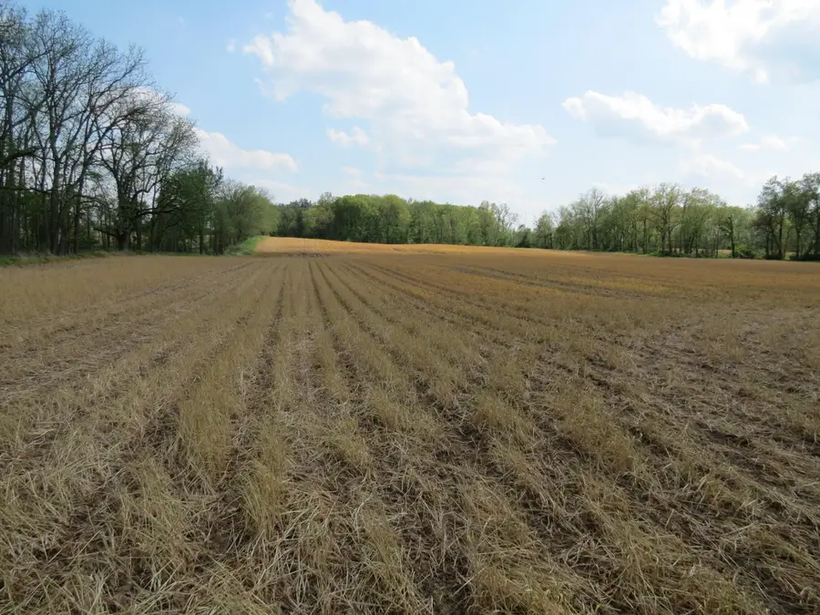 S Stony Lake Road #B, Jackson, MI 49201 - #3