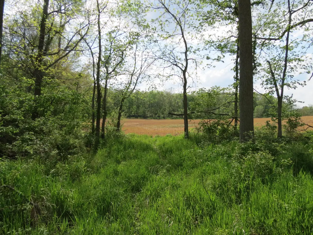 S Stony Lake Road #A, Jackson, MI 49201 - #1