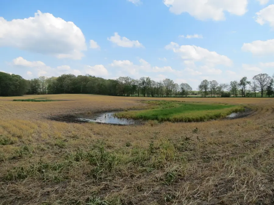 S Stony Lake Road #A, Jackson, MI 49201 - #2