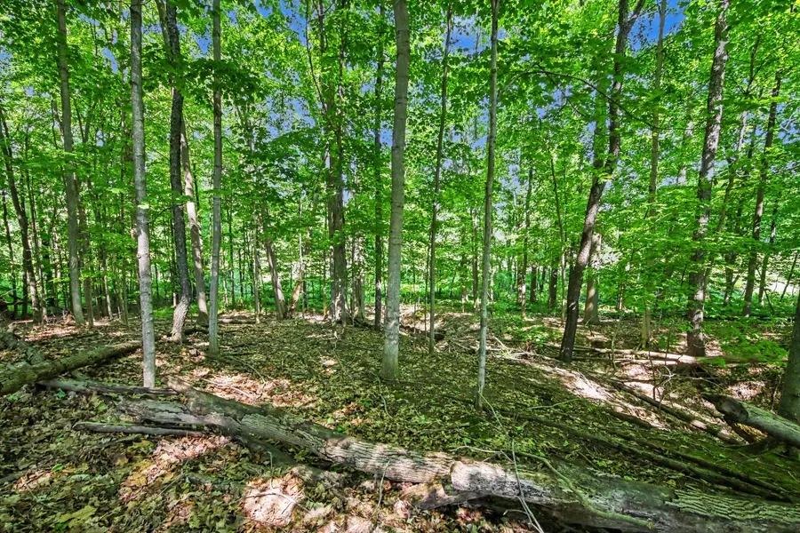12994 24th Avenue, Marne, MI 49435 - #3