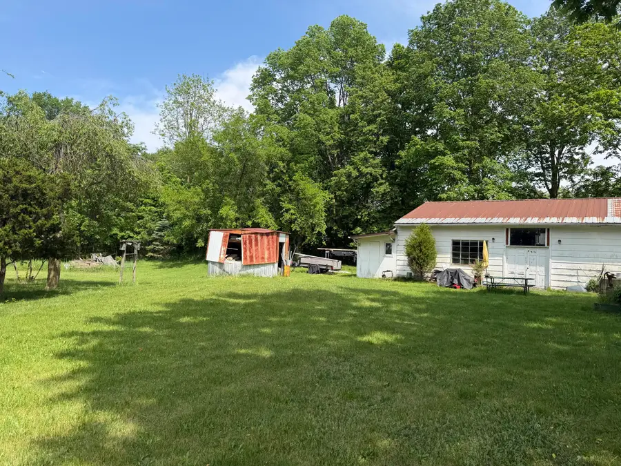 118 E Chicago Road, Coldwater, MI 49036 - #3