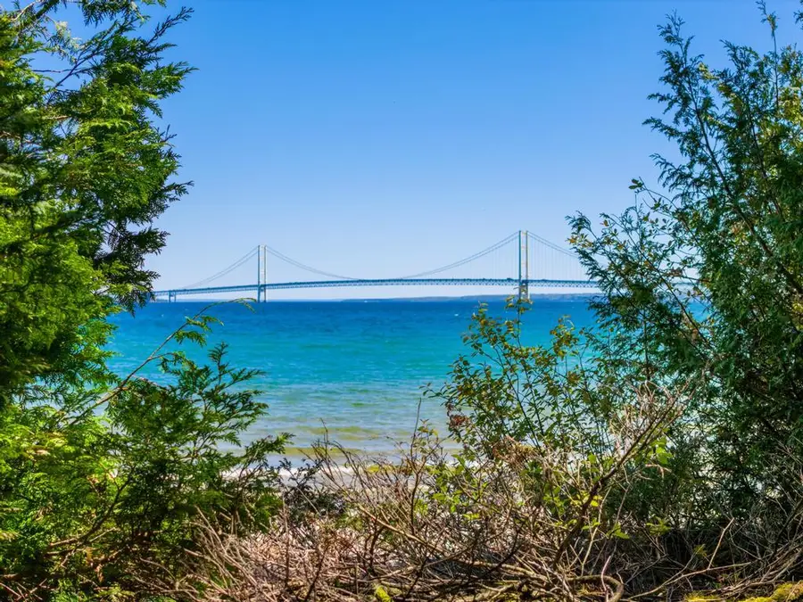 1264 Wenniway Drive, Mackinaw City, MI 49701 - #3