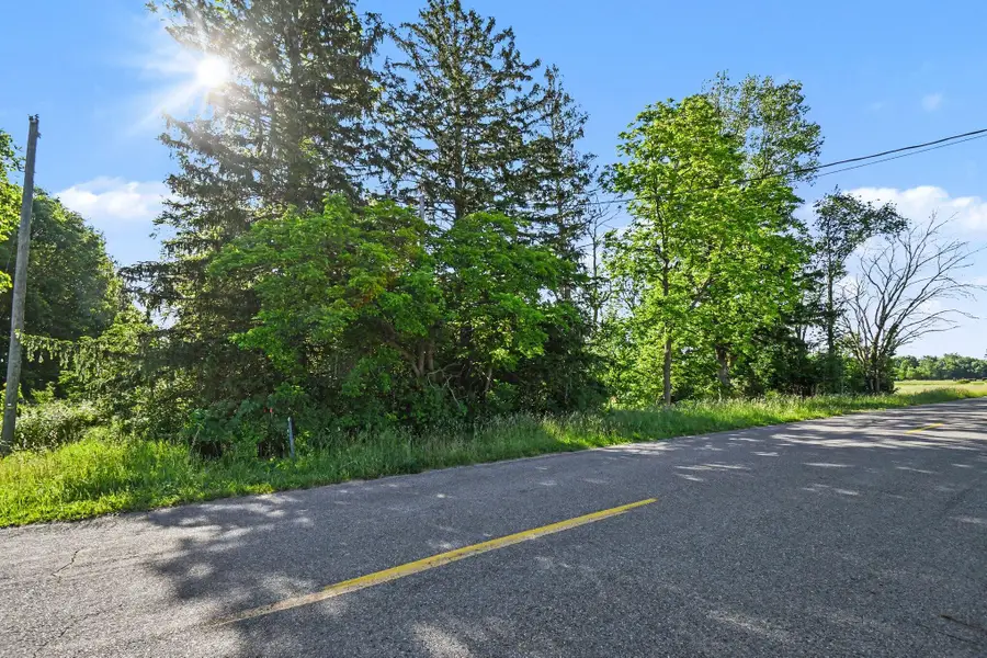 9605 Holden Road, Baroda, MI 49101 - #3